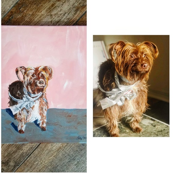 Pet portraits